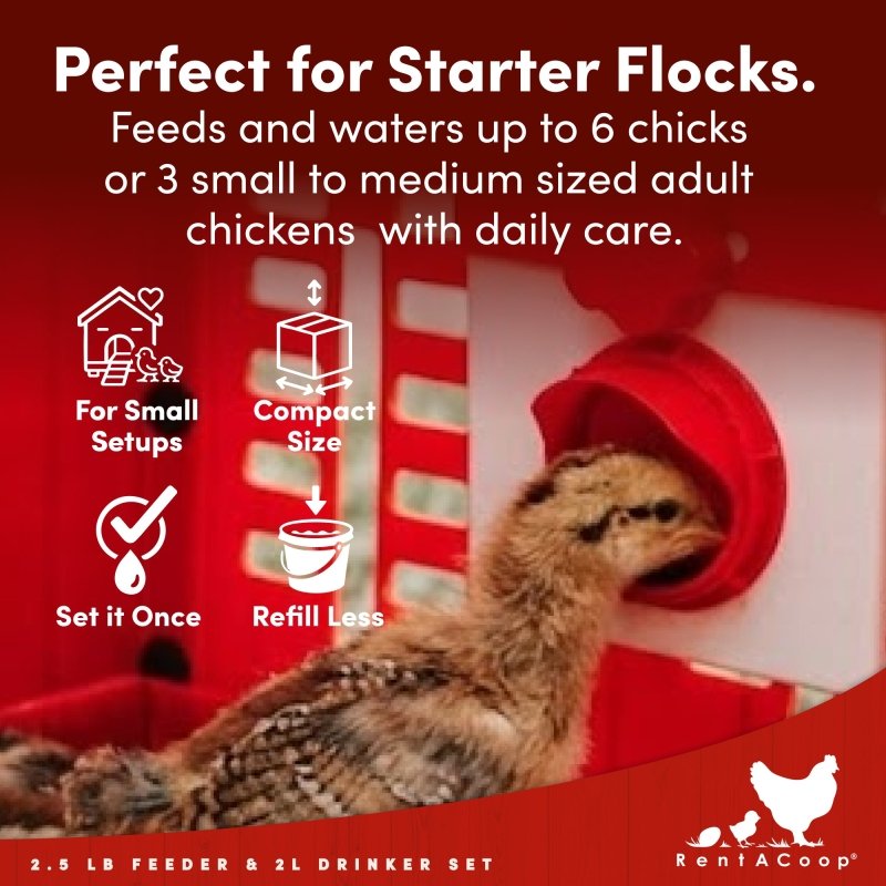 2.5 Pound Chick2Chicken Medium Port Feeder and 64 Ounce (2 Liter) Drinker Set