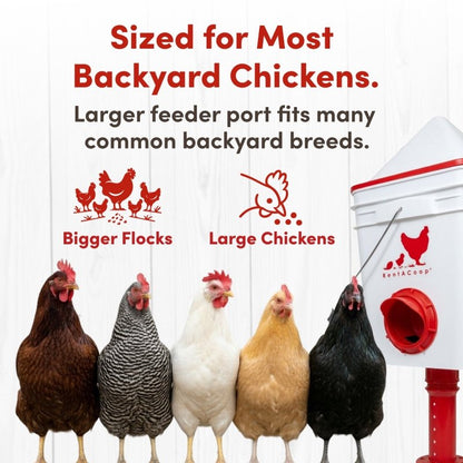 RentACoop Chicken Feeder &amp; Waterer Set– 25lb No-Waste Feeder with 4 Large Ports + 5-Gallon Waterer with Auto-Fill Cups &amp; Horizontal Nipples
