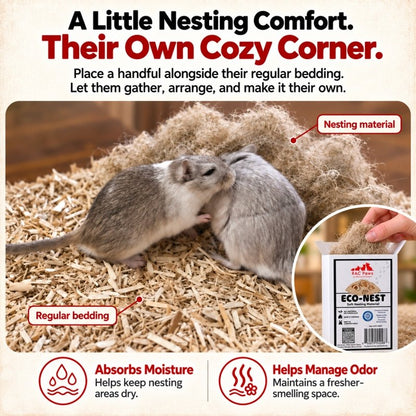RAC Paws Hemp Bedding Nesting Material for Hamsters, Gerbils &amp; Rats