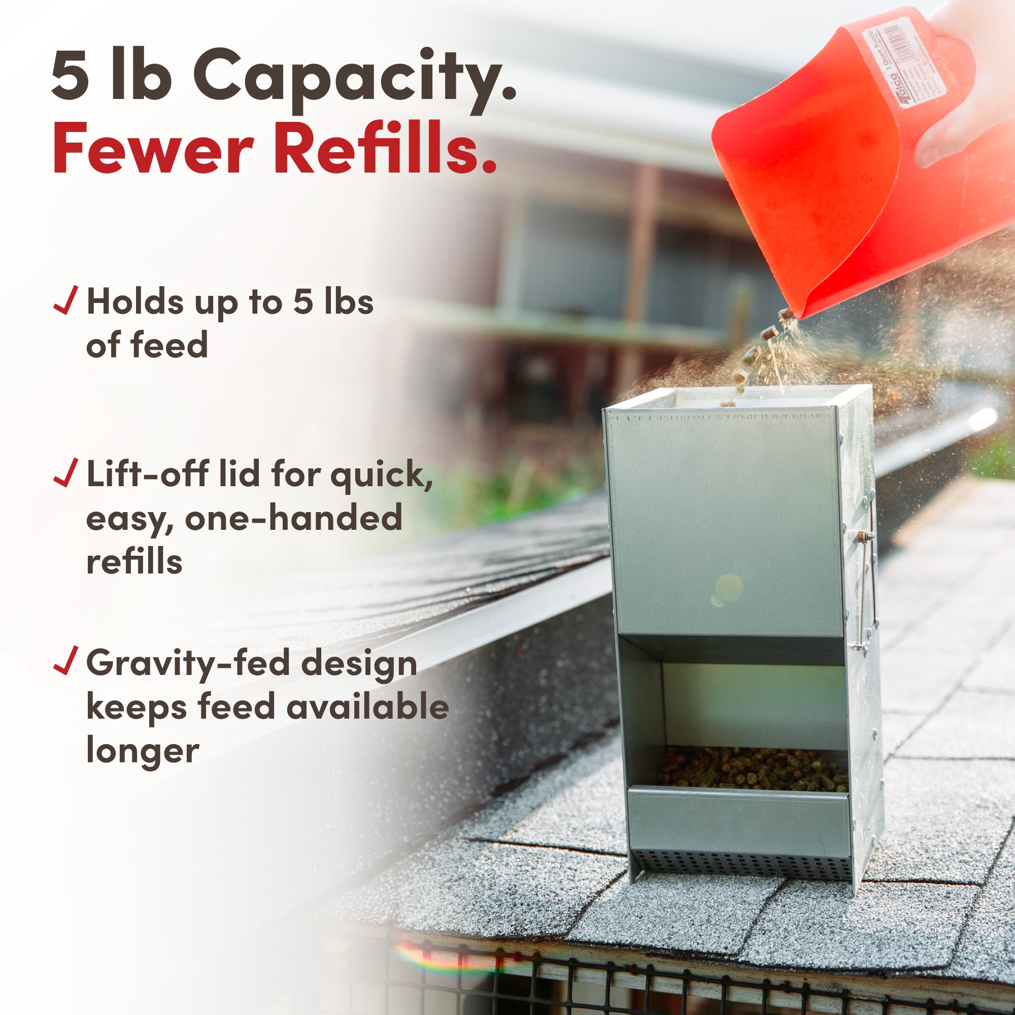 RAC Paws by RentACoop 5 Pound Metal Trough Feeder for Rabbits, Guinea Pigs, Ferrets, and Other Small Animals