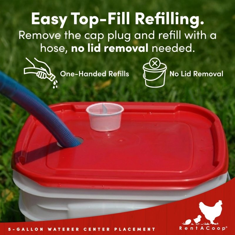 RentACoop 5 Gallon/ 4 Automatic-Fill Water Cup or Nipple Chicken Waterer with Adjustable Stand - Center Placement