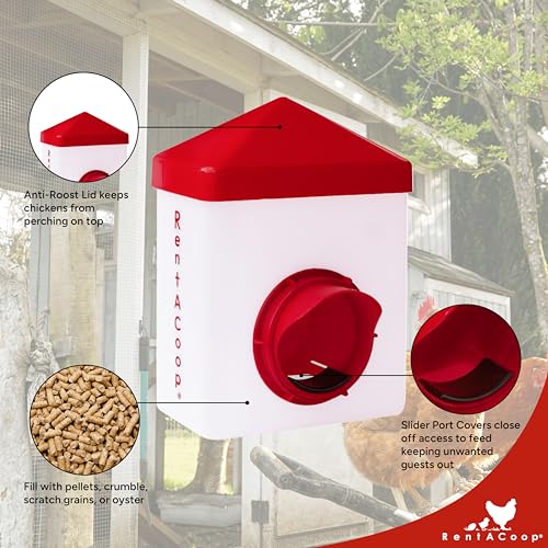 2.5 Pound Chick2Chicken Medium Port Feeder and 64 Ounce (2 Liter) Drinker Set