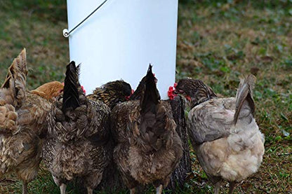 Make Your Own Chicken Waterer Kit - Horizontal Chicken Nipples 50-Pack + Installation Piece