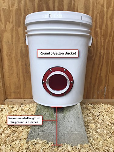DIY Chicken Feeder Kit
