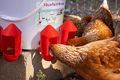 Anti-Dirt Cup Covers - Compatible with ALL RentACoop DIY Auto-Fill Cups and Chicken Waterers