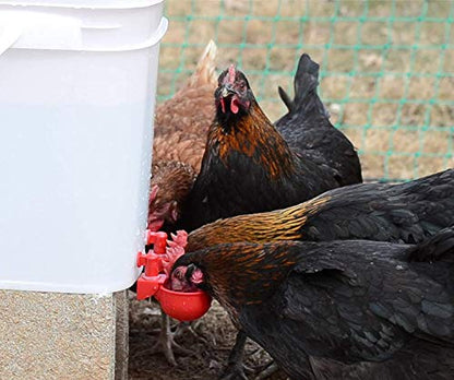 Automatic Chicken Water Cup Waterer Kit for Poultry 2-Pack