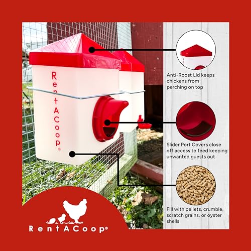 2.5 Pound Chick2Chicken Medium Port Feeder and 64 Ounce (2 Liter) Drinker Set