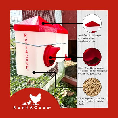 2.5 Pound Chick2Chicken Medium Port Feeder and 64 Ounce (2 Liter) Drinker Set