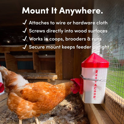 2.5lb Chick2Chicken BPA-Free Chicken Feeder