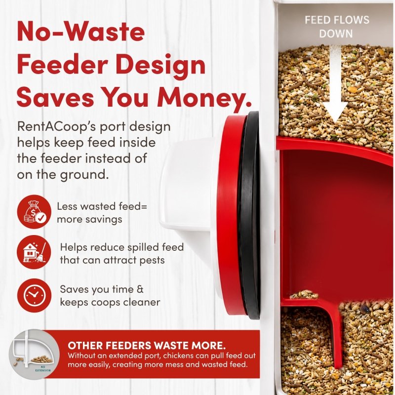 Twin Cup Chicken Waterer & Feeder Set 10lbs/2Gal | RentACoop