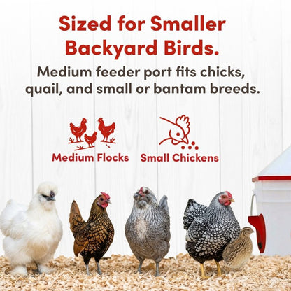 RentACoop 10lb Chick2Chicken 4-Port Chicken Feeder