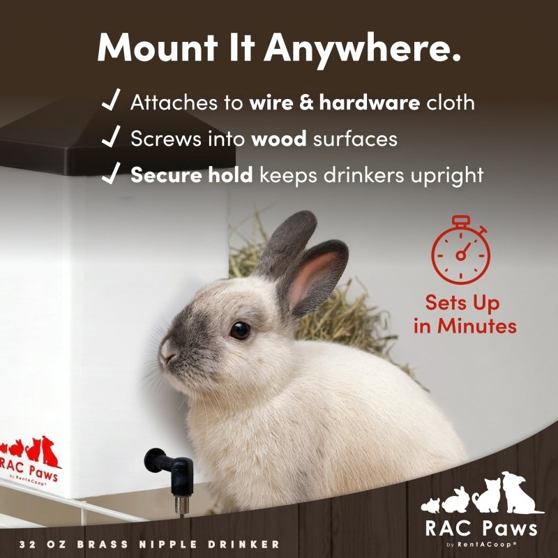 RAC Paws 32oz(1L) Small Animal Drinker with No-Drip Brass Nipple - Suitable for Small Pets, Bunnies, Hamsters, Guinea Pigs, Rabbits, Chinchillas, Mice and Rats