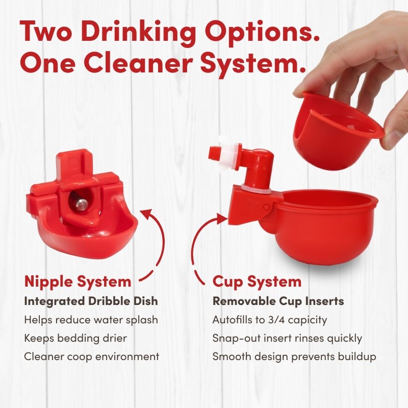 RentACoop 2 Gallon Chicken Waterer with 4 Auto-Fill Water Cups and 4 Horizontal nipples