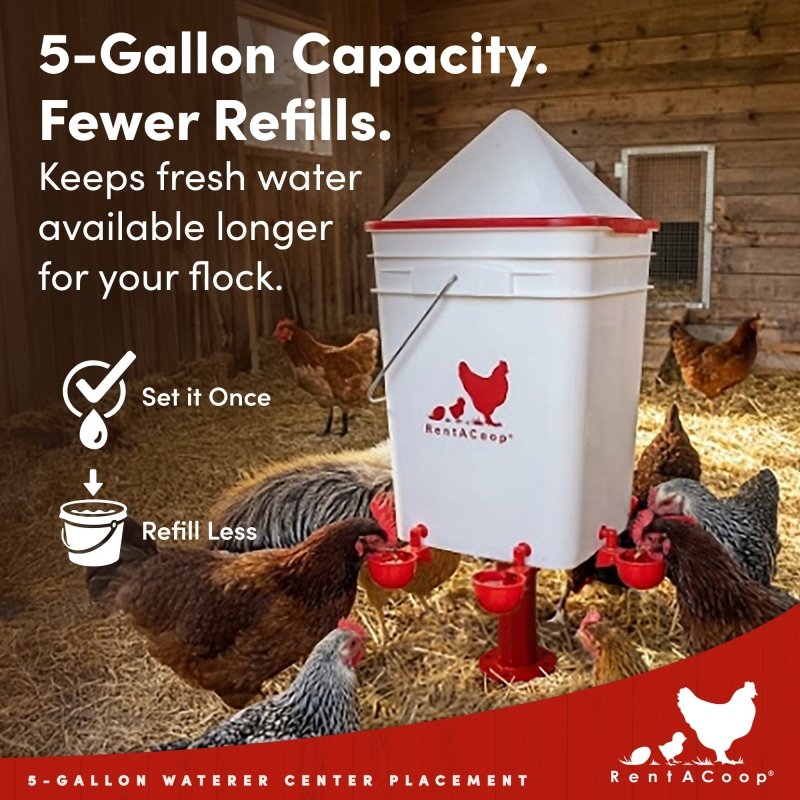 RentACoop 5 Gallon/ 4 Automatic-Fill Water Cup or Nipple Chicken Waterer with Adjustable Stand - Center Placement