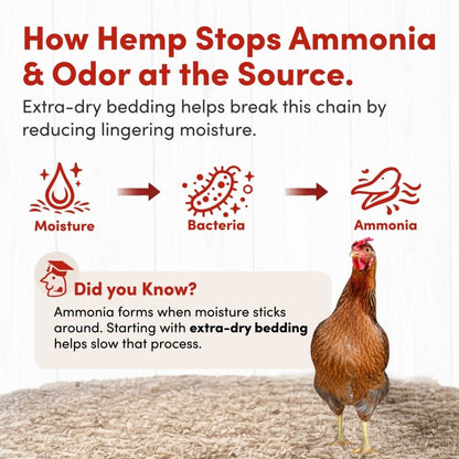 Premium Hemp Bedding (300 L) x 1 Pack - E.U. Grown for Chicken Coop, Nesting Boxes, Etc.