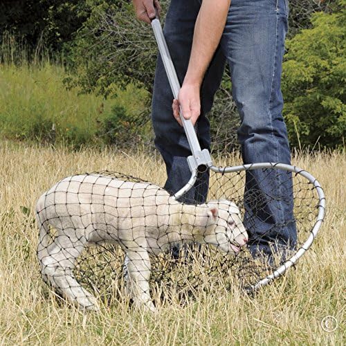 Premier EZ Catch Net for Chicken Handling (37"- 57" Handle with 23" Net Opening &amp; Teardrop Mesh)