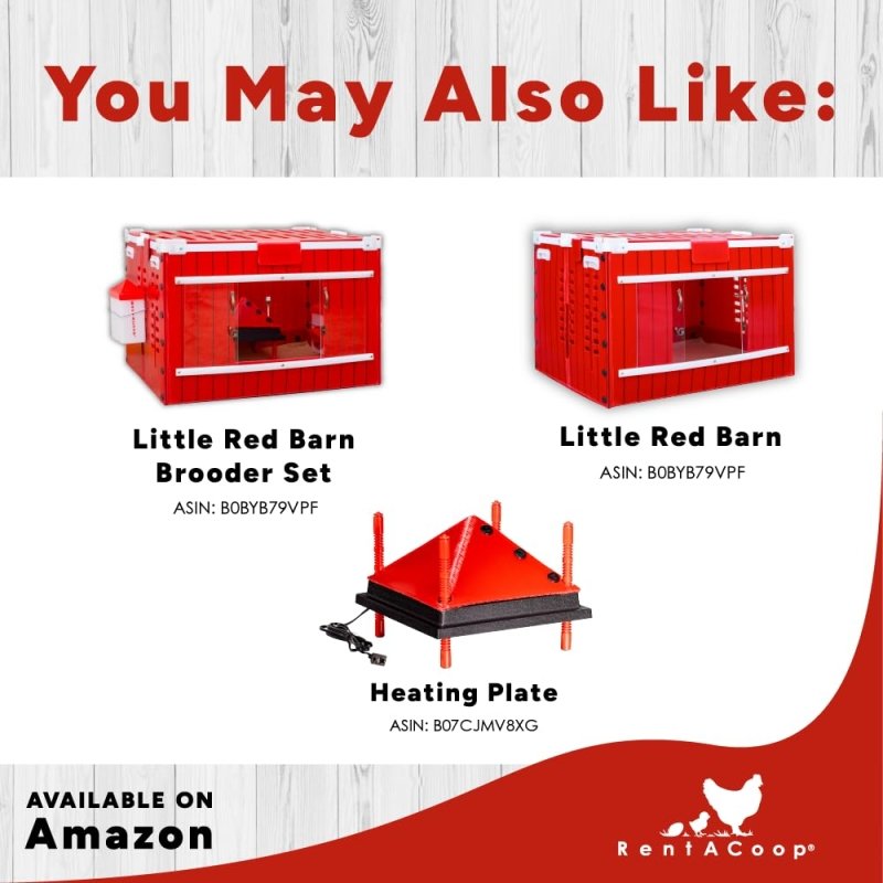 RentACoop Jute Brooder Liners for Little Red Barn Brooder (Pack of 4)