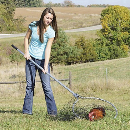 Premier EZ Catch Net for Chicken Handling (37"- 57" Handle with 23" Net Opening &amp; Teardrop Mesh)