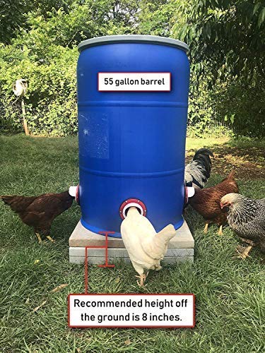 DIY Chicken Feeder Kit