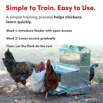 RentACoop 40 lb Automatic Treadle Chicken Feeder