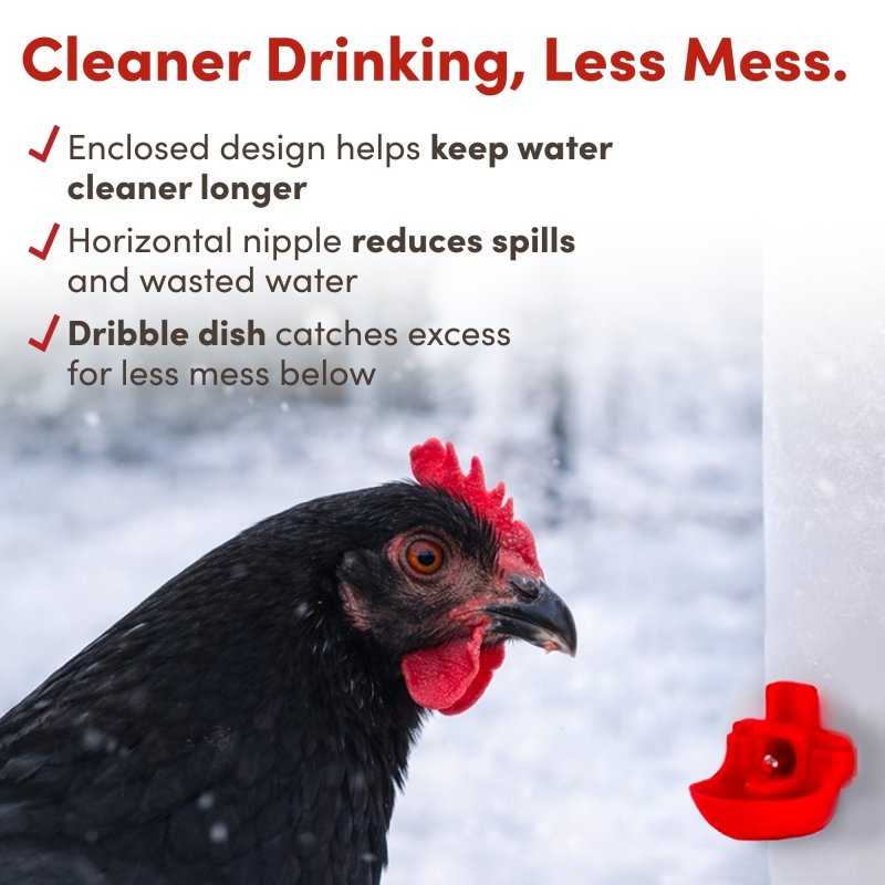 2.5 Pound Chick2Chicken Medium Port Feeder and 64 Ounce (2 Liter) Drinker Set