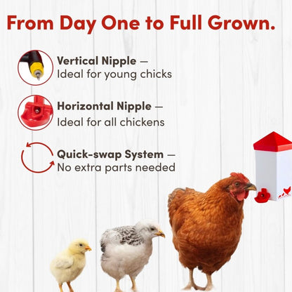 RentACoop 32oz(1L) Drinker Plus 2 Versatile Nipples - Suitable for Chicks, Quail, Pigeons, Doves, and Other Smaller Birds