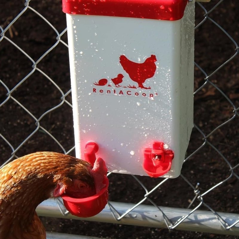 1 Gallon PVC Chicken Waterer | Chick Supplies | RentACoop