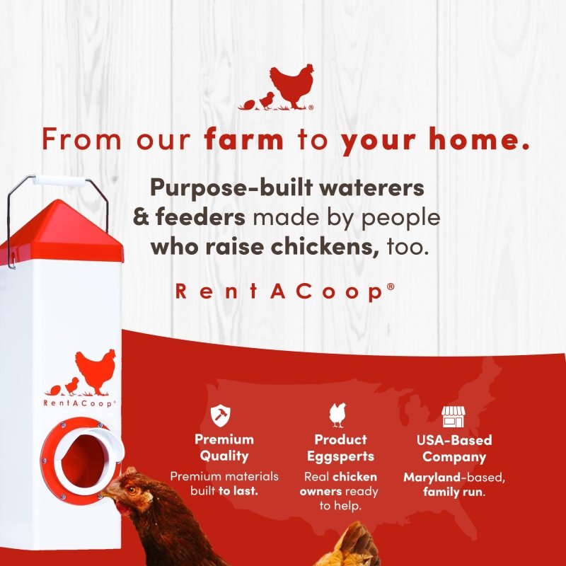 BPA-Free Single-Port Chicken Feeder | RentACoop