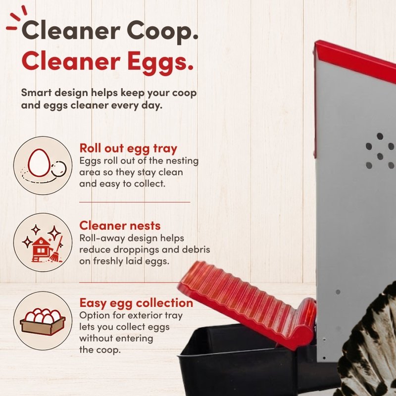 RentACoop Roll-Out Reversible Chicken Nesting Box Suite – 3 compartment