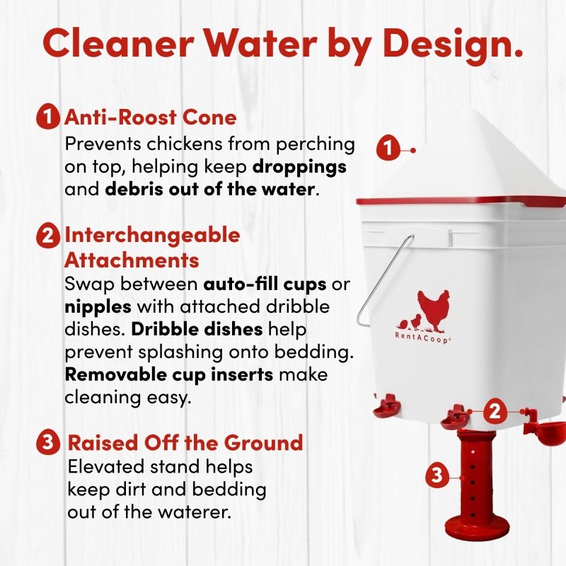 RentACoop 5 Gallon/ 4 Automatic-Fill Water Cup or Nipple Chicken Waterer with Adjustable Stand - Center Placement