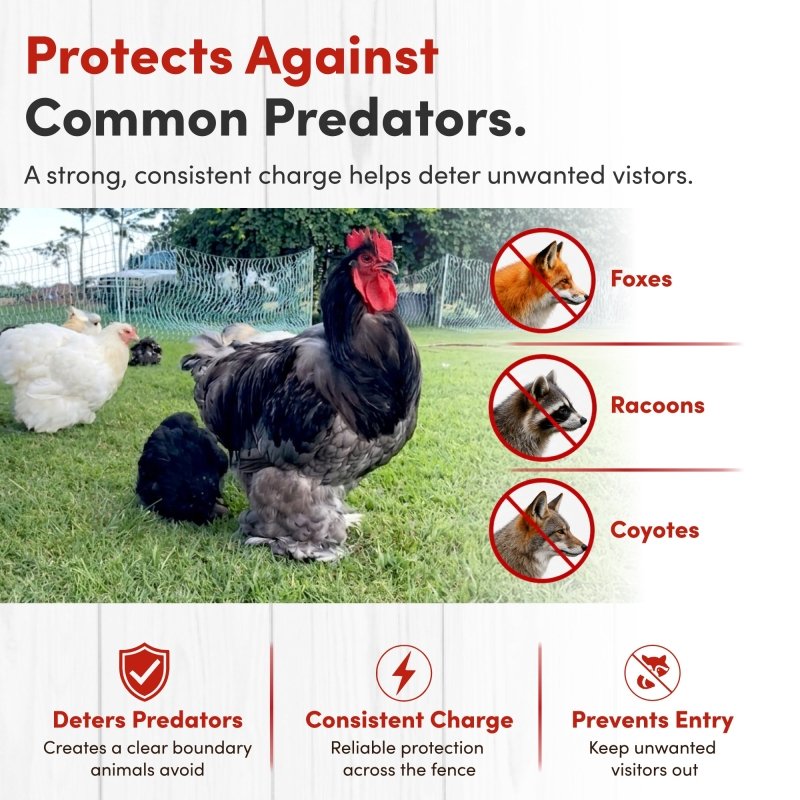 48" Electric Poultry Fencing - Suitable for Chickens, Ducks, Turkeys, and Other Poultry