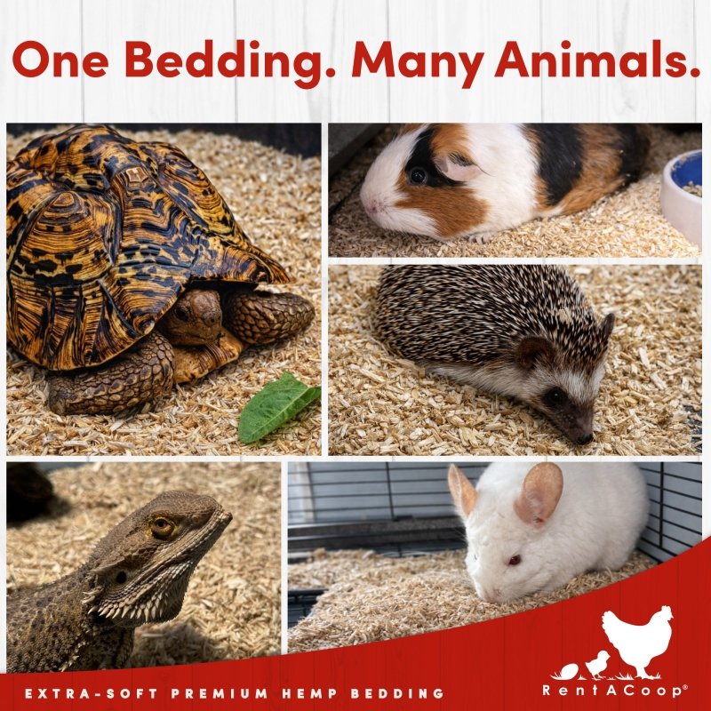 Premium Hemp Bedding (300 L) x 1 Pack - E.U. Grown for Chicken Coop, Nesting Boxes, Etc.