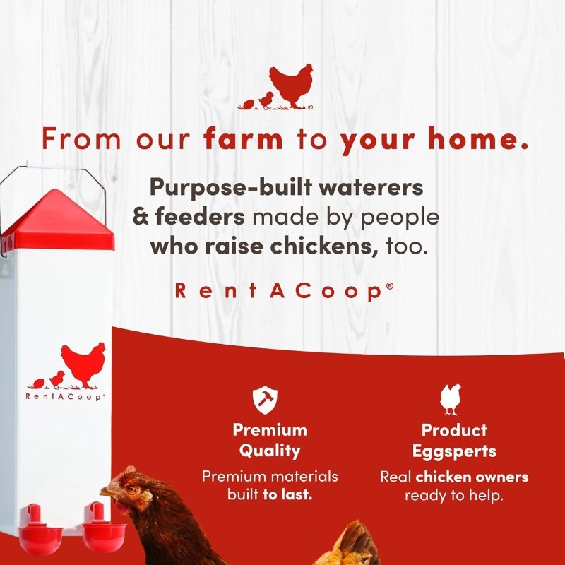 RentACoop Thermo Bucket Belt Sm and 1 Gal Waterer