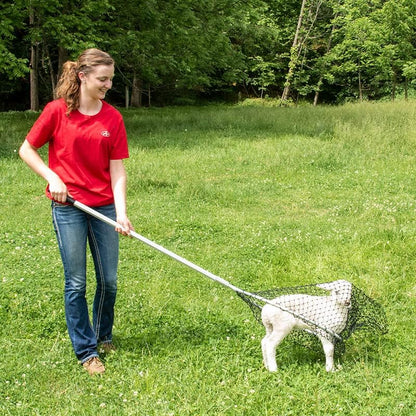 Premier EZ Catch Net for Chicken Handling (37"- 57" Handle with 23" Net Opening &amp; Teardrop Mesh)