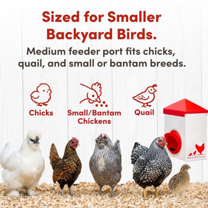 2.5lb Chick2Chicken BPA-Free Chicken Feeder