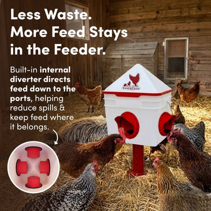 RentACoop Chick2Chicken 10lb Feeder &amp; 2 Gal Waterer Set