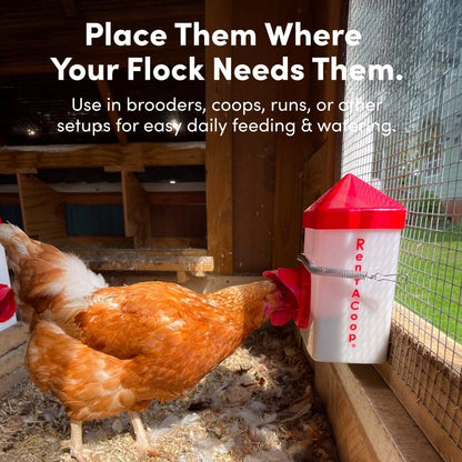 2.5 Pound Chick2Chicken Medium Port Feeder and 64 Ounce (2 Liter) Drinker Set