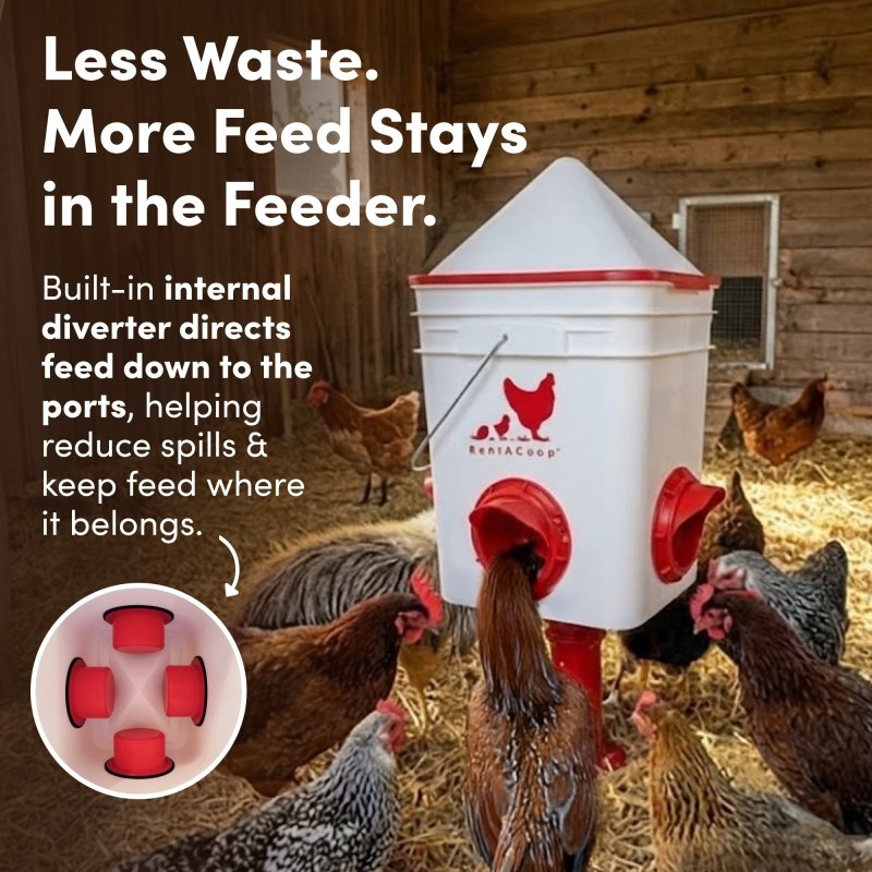 RentACoop Chicken Feeder &amp; Waterer Set– 25lb No-Waste Feeder with 4 Large Ports + 5-Gallon Waterer with Auto-Fill Cups &amp; Horizontal Nipples