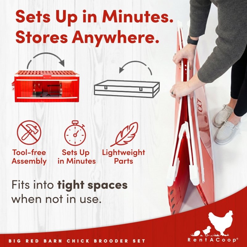 RentACoop Big Red Barn Chick Brooder Set | Durable, Lightweight, easy-clean, multipurpose | With Heating Plate, Feeder, Waterer, Absorbent Hatchling Liners, Jute Liners, LED Light, Security Latch