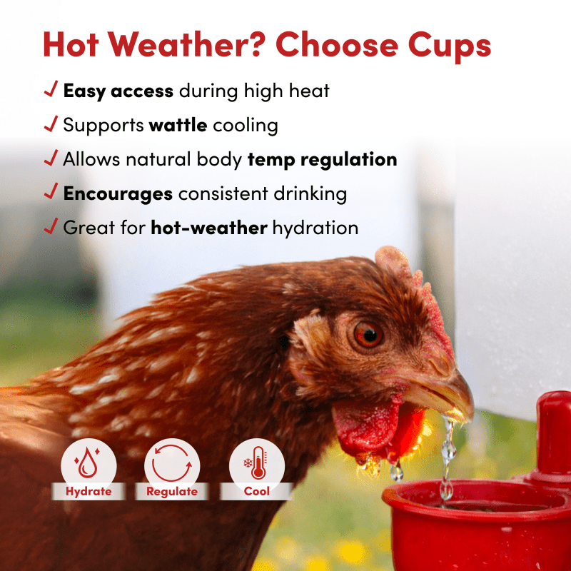 32oz Automatic Refill Chick Cup Drinker Waterer