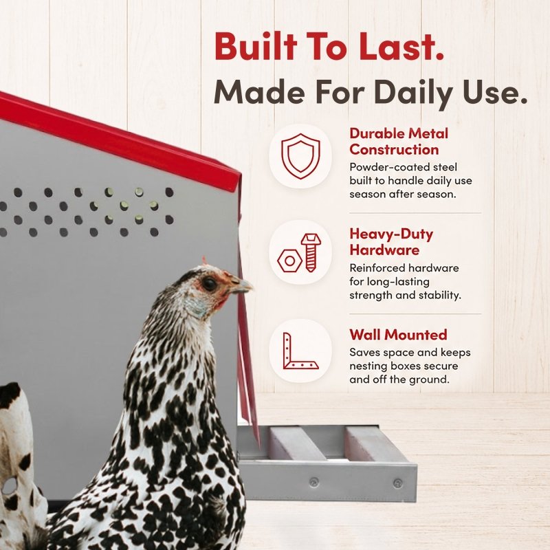 RentACoop Roll-Out Reversible Chicken Nesting Box Suite – 3 compartment