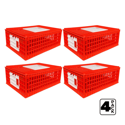 RentACoop Stackable Poultry Carrier Crate (Pack of 4) - RentACoop