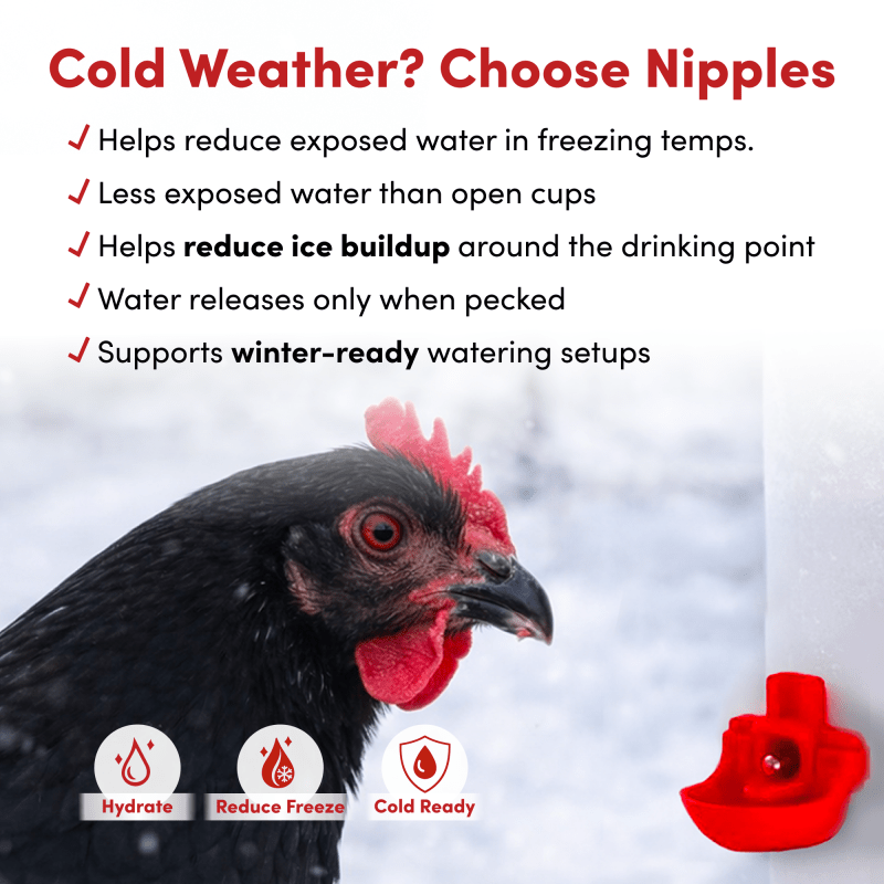 64oz(2L) Chicken Drinker Plus 2 Versatile Nipples
