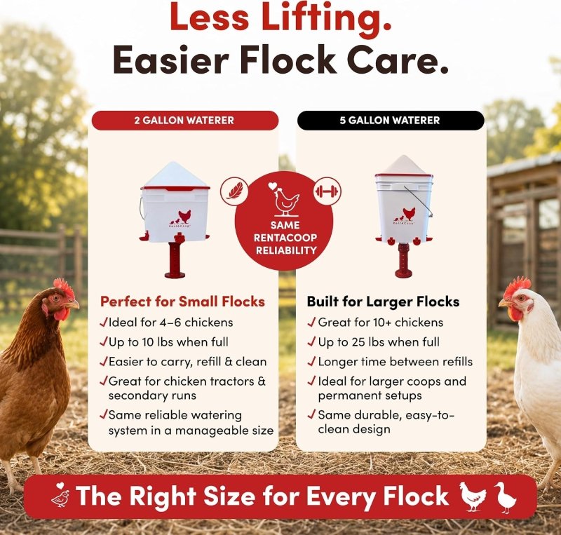 RentACoop Thermo Bucket Belt LG and 2Gal Center Waterer