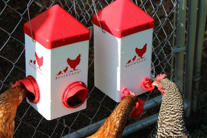 Chick2Chicken 5lb 2-Port Chicken Feeder and 1-Gal Small Cage Waterer Set