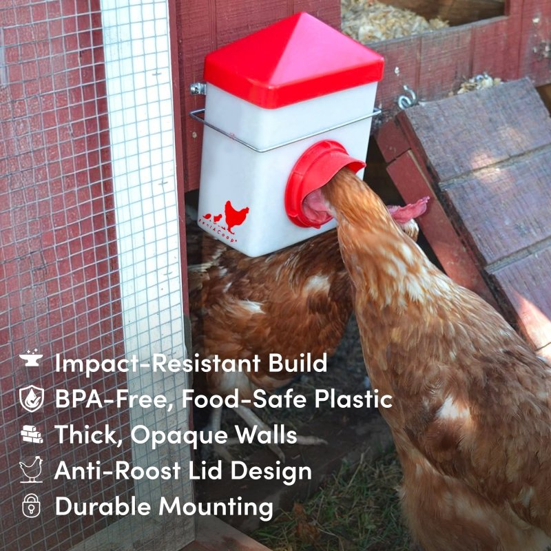 2.5lb Chick2Chicken BPA-Free Chicken Feeder