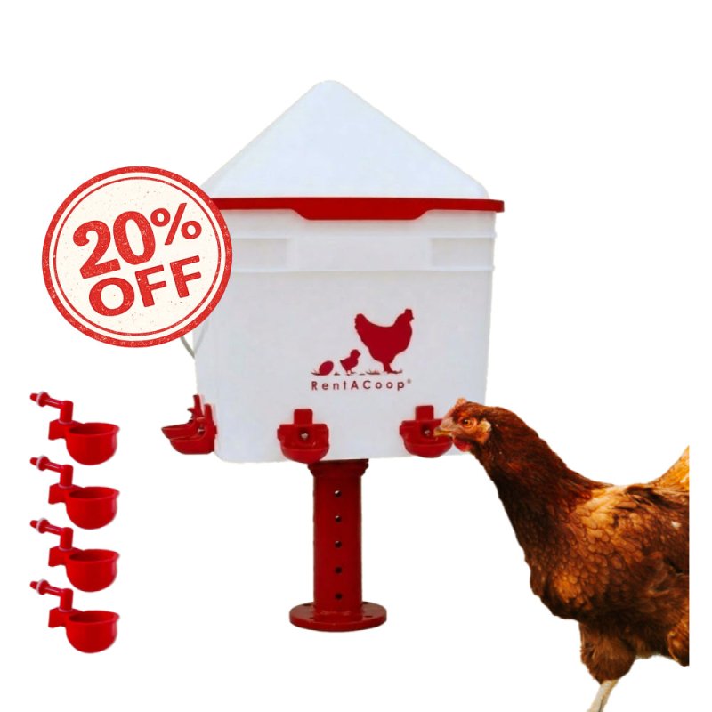 RentACoop 2 Gallon Chicken Waterer with 4 Cups and 4 Nipples - Corner Placement