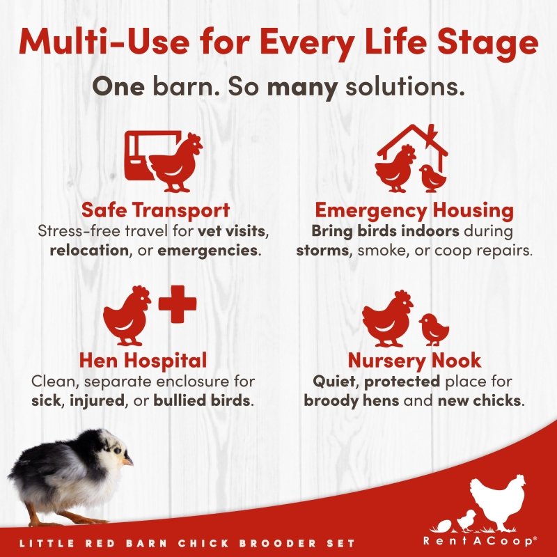 RentACoop Little Red Barn Chick Brooder Set