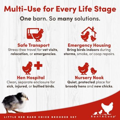RentACoop Little Red Barn Chick Brooder Set