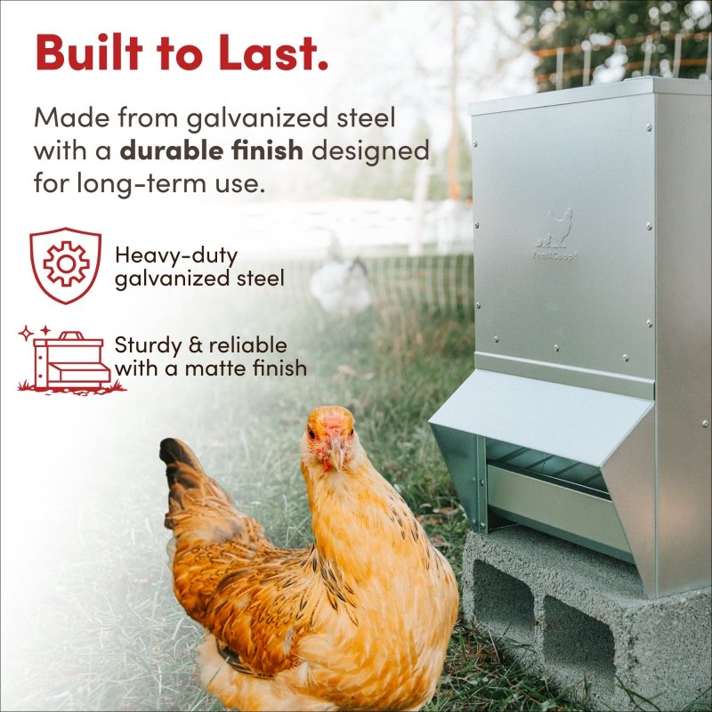 Galvanized Chicken Tough Feeder, Weatherproof Poultry Food Dispenser with Lid - 50lb